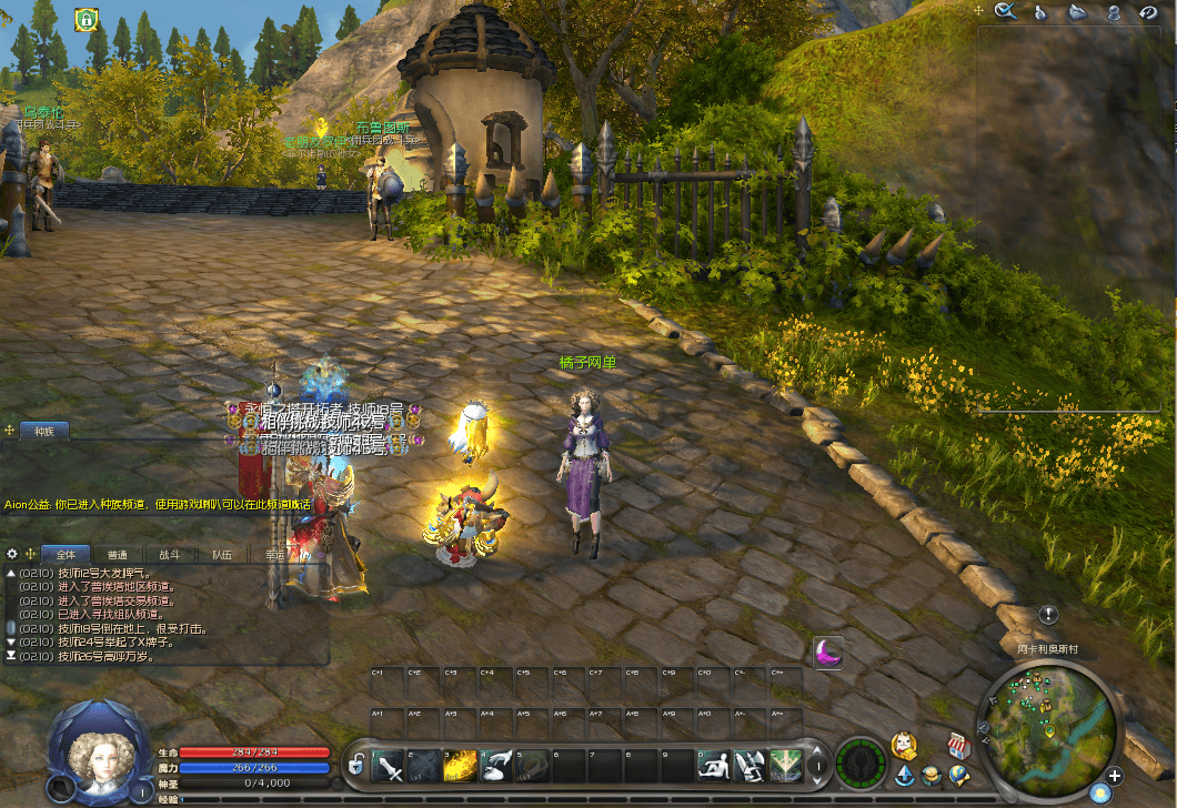 3DMMORPG端游【永恒之塔8.4】最新整理WIN系服务端+PC客户端++GM指令教程+详细搭建教程